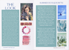 Color Analysis Seasonal Client Booklets